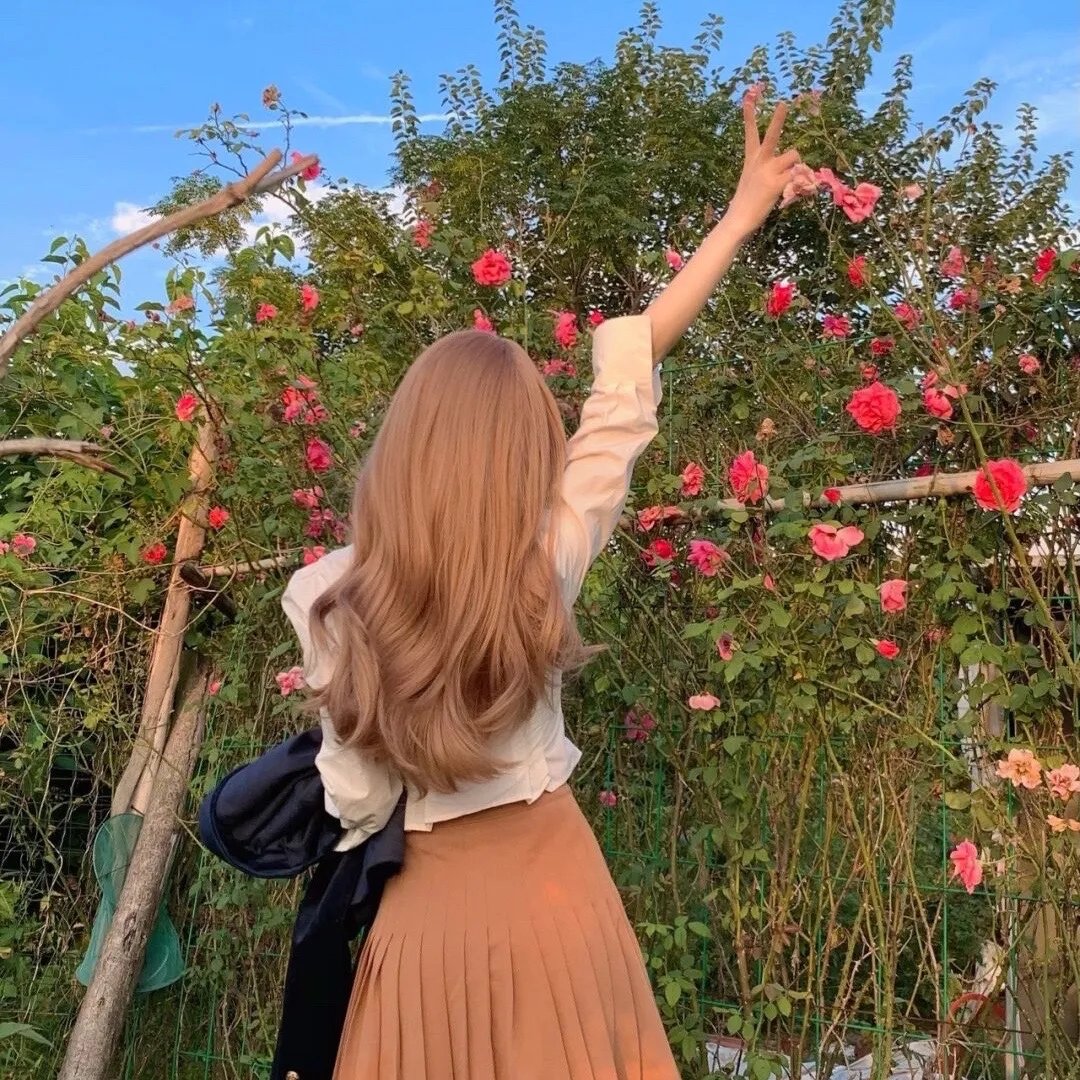 新闻编辑室第三季